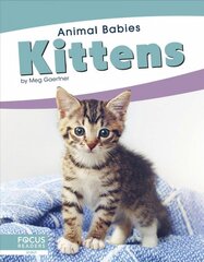 Animal Babies: Kittens цена и информация | Книги для подростков  | pigu.lt