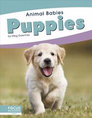 Animal Babies: Puppies цена и информация | Книги для подростков  | pigu.lt