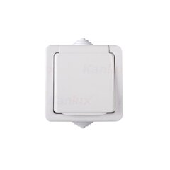 Kanlux Tekno white - одинарная заземленная розетка с защитой контактов N/T IP54 33496 цена и информация | Выключатели, розетки | pigu.lt