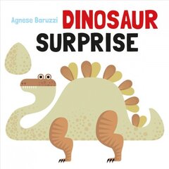 Dinosaur Surprise kaina ir informacija | Knygos mažiesiems | pigu.lt