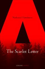 Scarlet Letter edition цена и информация | Fantastinės, mistinės knygos | pigu.lt