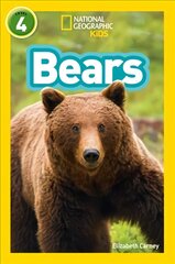 Bears: Level 4 цена и информация | Книги для подростков и молодежи | pigu.lt
