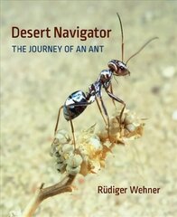 Desert Navigator: The Journey of an Ant kaina ir informacija | Ekonomikos knygos | pigu.lt