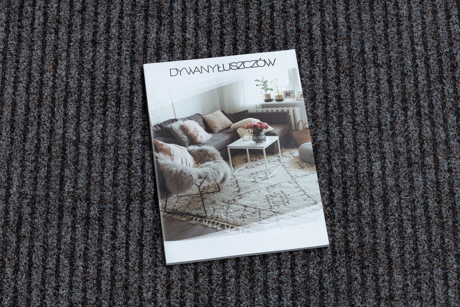 Rugsx durų kilimėlis, 80x110 cm kaina ir informacija | Durų kilimėliai | pigu.lt