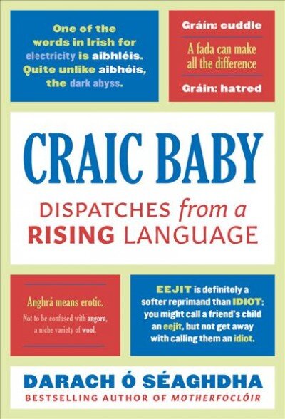 Craic Baby: Dispatches from a Rising Language цена и информация | Užsienio kalbos mokomoji medžiaga | pigu.lt