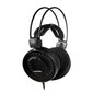 Audio Technica ATH-AD500X kaina ir informacija | Ausinės | pigu.lt