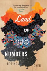 Land of Big Numbers: Stories kaina ir informacija | Fantastinės, mistinės knygos | pigu.lt