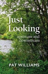 Just Looking: upstream and downstream цена и информация | Книги по социальным наукам | pigu.lt