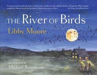 River of Birds цена и информация | Книги для подростков  | pigu.lt