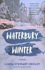 Waterbury Winter: A Novel цена и информация | Фантастика, фэнтези | pigu.lt