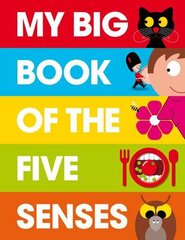 My Big Book of the Five Senses цена и информация | Книги для самых маленьких | pigu.lt