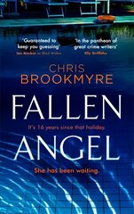 Fallen Angel kaina ir informacija | Fantastinės, mistinės knygos | pigu.lt