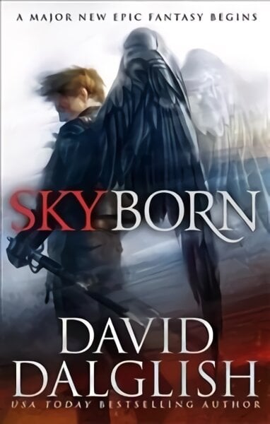 Skyborn: Seraphim, Book One цена и информация | Fantastinės, mistinės knygos | pigu.lt