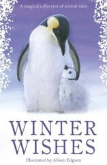 Winter Wishes kaina ir informacija | Knygos paaugliams ir jaunimui | pigu.lt