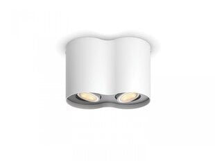 Philips lubinis šviestuvas Pillar Hue цена и информация | Потолочные светильники | pigu.lt