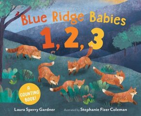 Blue Ridge Babies 1, 2, 3: A Counting Book kaina ir informacija | Knygos paaugliams ir jaunimui | pigu.lt