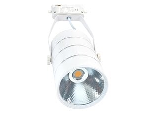 Светодиодный светильник Steka 30W - Белый - Нейтральный белый (4500K) цена и информация | Люстры | pigu.lt