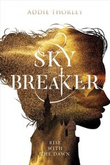 Sky Breaker цена и информация | Книги для подростков и молодежи | pigu.lt