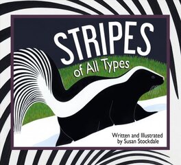 Stripes of All Types цена и информация | Книги для подростков  | pigu.lt