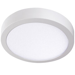 "Plafond LED CARSA V2LED 24W 4000K balta kaina ir informacija | Įmontuojami šviestuvai, LED panelės | pigu.lt