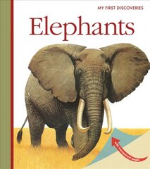 Elephants цена и информация | Книги для подростков  | pigu.lt