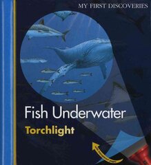 Fish Underwater цена и информация | Книги для подростков и молодежи | pigu.lt