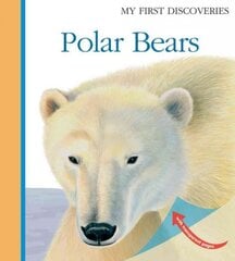 Polar Bears цена и информация | Книги для подростков и молодежи | pigu.lt