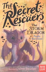 Secret Rescuers: The Storm Dragon: The Storm Dragon kaina ir informacija | Knygos paaugliams ir jaunimui | pigu.lt