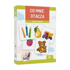 Atminties žaidimas Kas aplink mane Zu&Berry, 48d. kaina ir informacija | Lavinamieji žaislai | pigu.lt