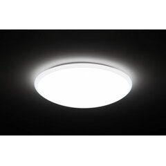 Maclean MCE144 Ceiling lamp Wall light IP66 Interior Exterior kaina ir informacija | Lubiniai šviestuvai | pigu.lt