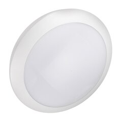 Maclean MCE144 Ceiling lamp Wall light IP66 Interior Exterior kaina ir informacija | Lubiniai šviestuvai | pigu.lt