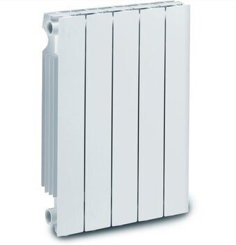 Aliuminio radiatorius Plus Evo 10 kaina ir informacija | Radiatoriai, konvektoriai | pigu.lt