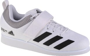 Мужские спортивные кроссовки Adidas Run Falcon 2.0 Белый Мужской цена и информация | Кроссовки для мужчин | pigu.lt