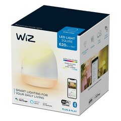 Sieninė lempa wiz squire 9w цена и информация | Настенные светильники | pigu.lt