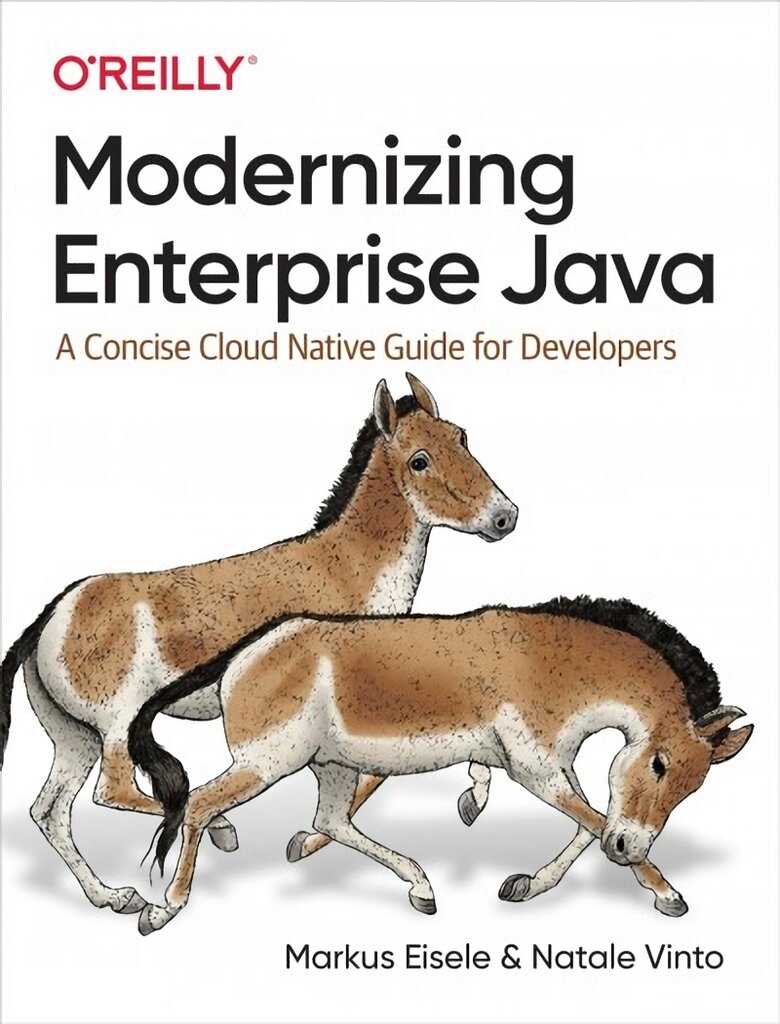 Modernizing Enterprise Java: A Concise Cloud Native Guide for Developers цена и информация | Ekonomikos knygos | pigu.lt