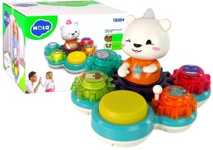 Interaktyvus žaislas Bear Rhythm Drum kaina ir informacija | Lavinamieji žaislai | pigu.lt