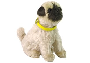 Интерактивная плюшевая собака ,,Мопс'' цена и информация | Мягкие игрушки | pigu.lt