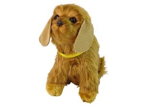 Интерактивная плюшевая собака ,,Кокер-спаниель'', коричневая цена и информация | Мягкие игрушки | pigu.lt