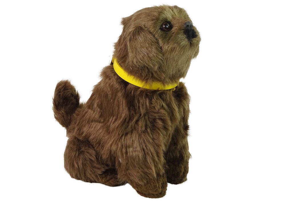 Interaktyvus pliušinis šuo, rudas kaina ir informacija | Minkšti (pliušiniai) žaislai | pigu.lt