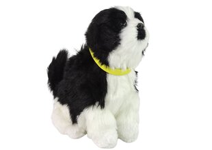 Interaktyvus pliušinis šuo ,,Borderkolis'', baltas/juodas kaina ir informacija | Minkšti (pliušiniai) žaislai | pigu.lt
