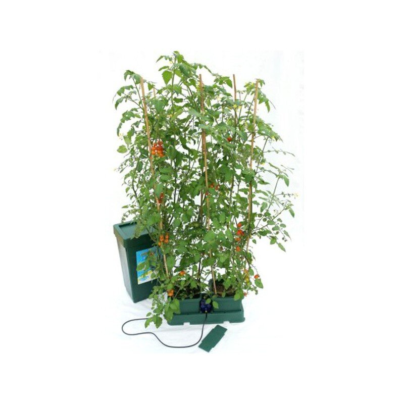 Platinium Autopot kaina ir informacija | Daigyklos, lempos augalams | pigu.lt