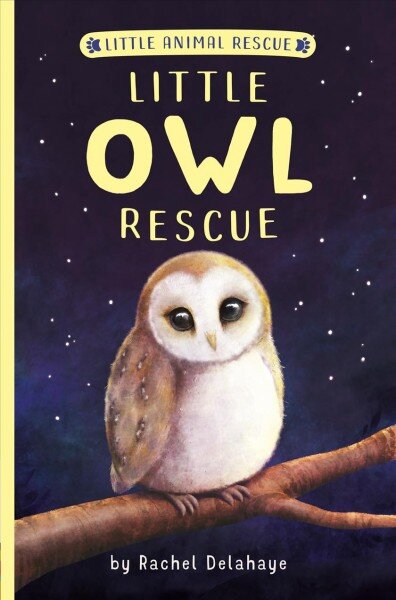 Little Owl Rescue цена и информация | Knygos paaugliams ir jaunimui | pigu.lt