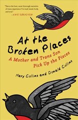 At the Broken Places: A Mother and Trans Son Pick Up the Pieces kaina ir informacija | Socialinių mokslų knygos | pigu.lt