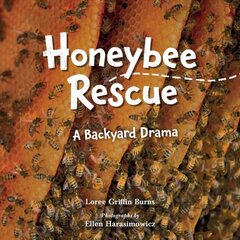 Honeybee Rescue: A Backyard Drama kaina ir informacija | Knygos paaugliams ir jaunimui | pigu.lt