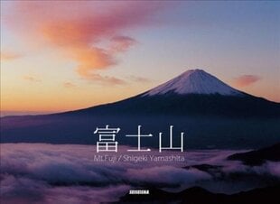 Mt.Fuji: Panorama цена и информация | Книги об искусстве | pigu.lt