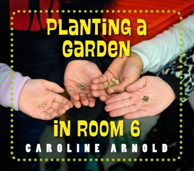 Planting a Garden in Room 6: From Seeds to Salad kaina ir informacija | Knygos paaugliams ir jaunimui | pigu.lt