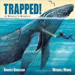 Trapped!: A Whale's Rescue цена и информация | Книги для подростков  | pigu.lt