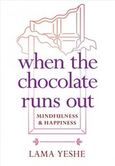 When the Chocolate Runs Out: Mindfulness and Happiness kaina ir informacija | Dvasinės knygos | pigu.lt