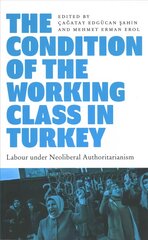 Condition of the Working Class in Turkey: Labour under Neoliberal Authoritarianism kaina ir informacija | Socialinių mokslų knygos | pigu.lt