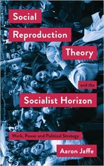 Social Reproduction Theory and the Socialist Horizon: Work, Power and Political Strategy kaina ir informacija | Socialinių mokslų knygos | pigu.lt